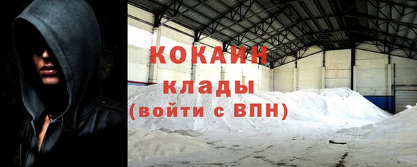 стаф Нефтегорск