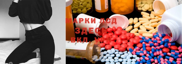стаф Нефтегорск