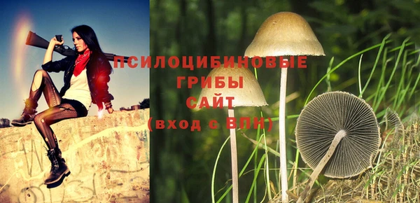 молекула духа Дмитров