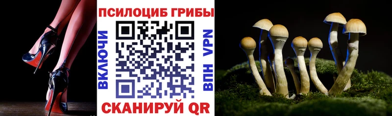 Псилоцибиновые грибы мицелий  Новокубанск 